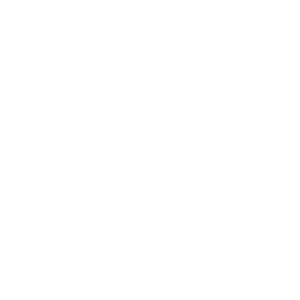 Logo CELSEO Gruppe