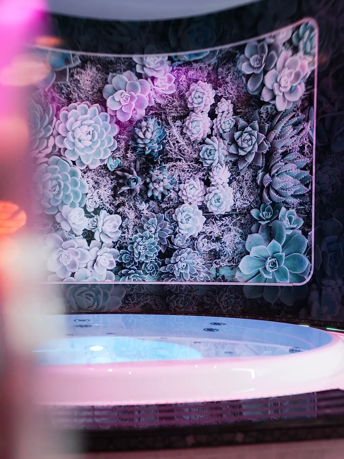 Whirlpool von Pure Spa in rosa Licht vor einer Wand aus Sukkulenten